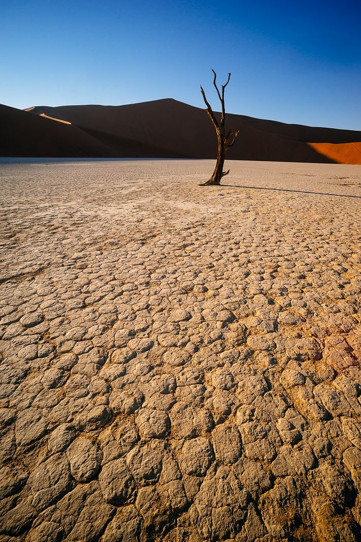 Deadvlei, Sossusvlei, Namibia